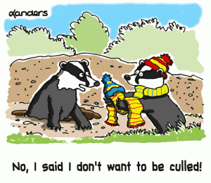 Badgers_Landers